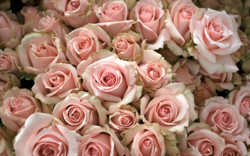 Bröllopsinspiration